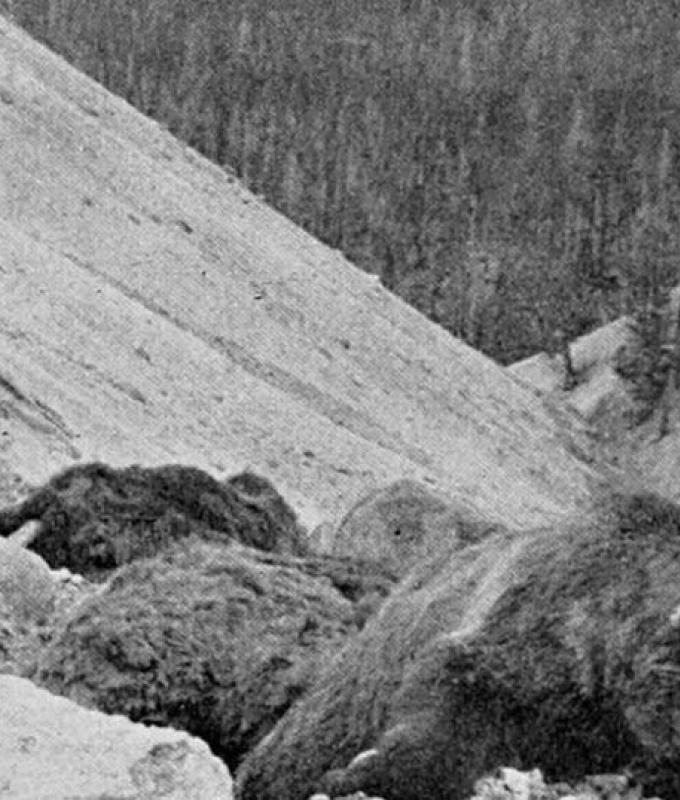 Death Gulch : comment un endroit du coin nord-est de Yellowstone a obtenu son nom morbide