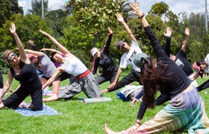 Bogotá vous accueille à la deuxième édition du Calma Festival, un événement pour se connecter avec le bien-être en ville