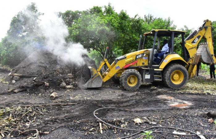 Des fours à charbon illégaux détruits à Valledupar
