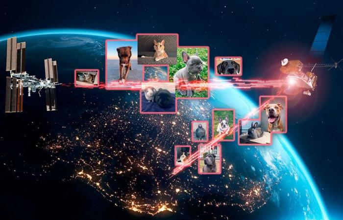 La NASA a un nouveau “jouet” avec des lasers pour envoyer des photos et des vidéos de chiens, de chats et même de poulets dans l’espace