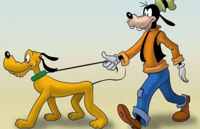C’est la vraie raison pour laquelle Dingo parle à Disney et Pluton ne le fait pas