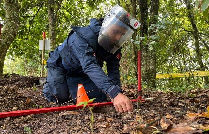 Huila sur le point d’être déclarée exempte de mines antipersonnel