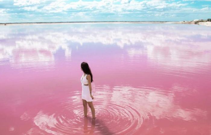 Une nouvelle étude révèle pourquoi le spectaculaire lac Hillier d’Australie est rose