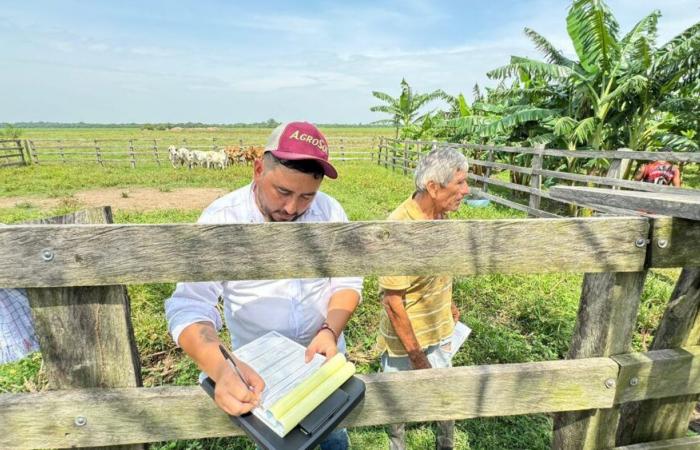 Ecopetrol renforce les producteurs agricoles de Casanare avec le programme Agrosol
