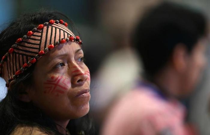 Le Pérou va créer une réserve communale autochtone dans la région frontalière avec l’Équateur