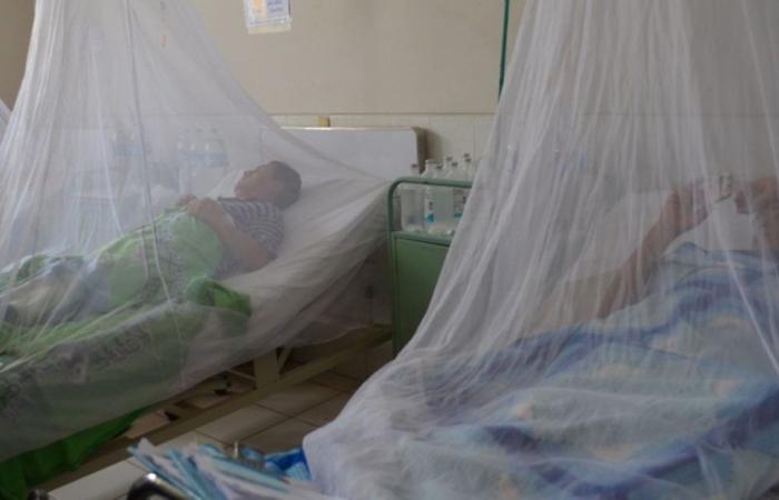 Les décès dus à la dengue s’élèvent à 8 à Huila