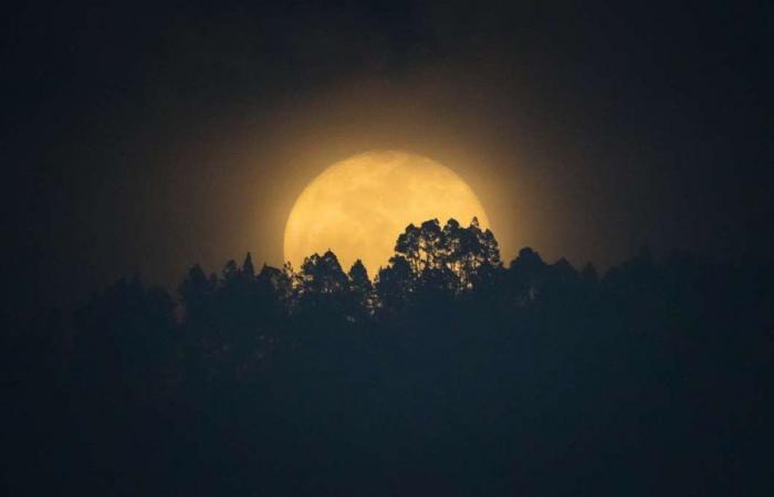Qu’est-ce que l’arrêt lunaire, l’événement rare observé tous les 18 ans depuis la Terre ?