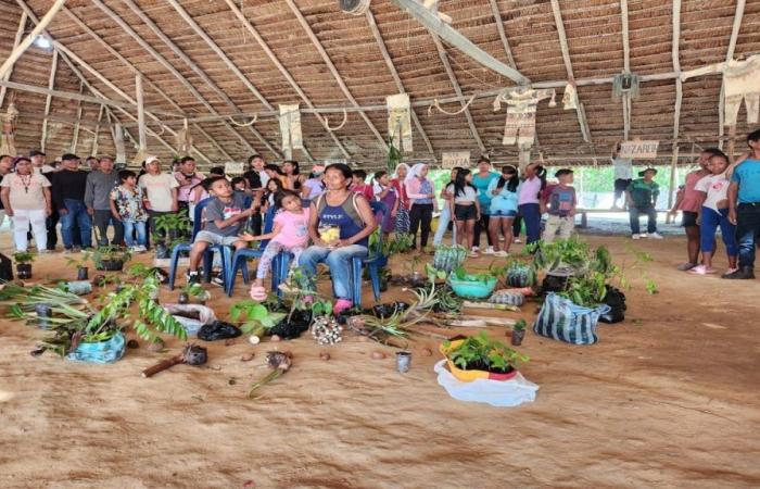 Click Verde de NTN24 a exploré « Aula Viva » : une initiative environnementale et culturelle en Amazonie colombienne