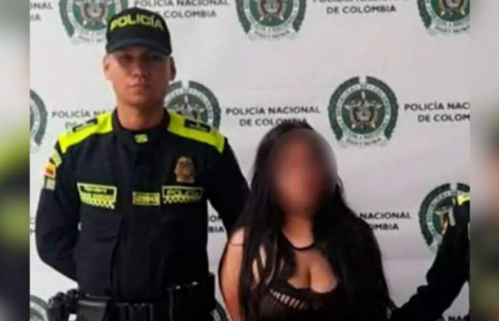 Ils capturent une femme accusée d’avoir jeté un chiot du 12ème étage à Bello, Antioquia