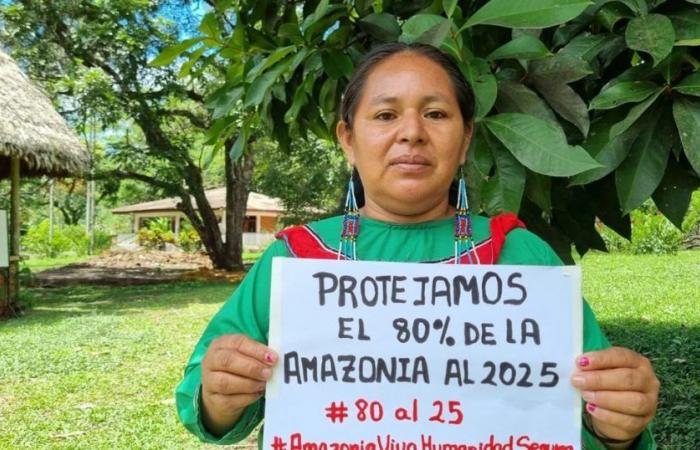71 % de l’Amazonie n’est pas protégée par les principales banques qui financent l’extraction pétrolière et gazière de la région