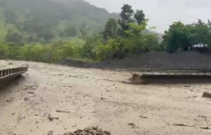 Une crue soudaine a détruit un pont dans la zone rurale de Carepa, Antioquia ; 15 chemins sont coupés