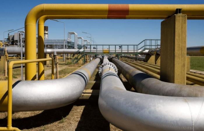 Enarsa et la Bolivie conviennent de poursuivre l’approvisionnement en gaz de sept provinces argentines