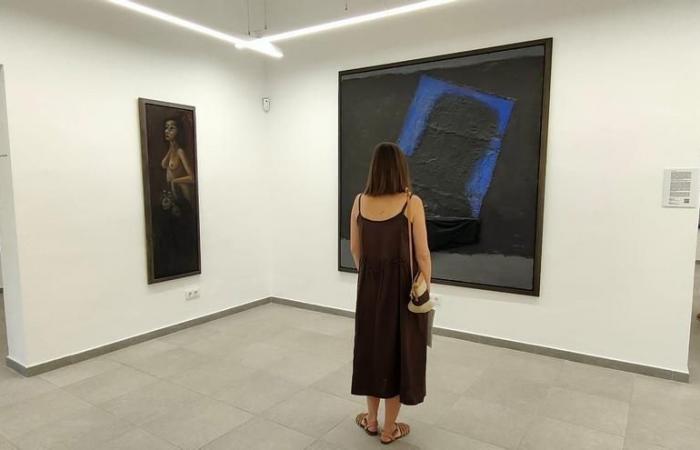 Expositions en Aragon | Le Centre d’Art Contemporain Aínsa-Sobrarbe se penche sur la transition