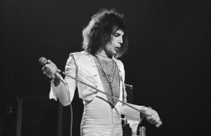 Ce sur quoi Freddie Mercury a travaillé avant de briller avec Queen