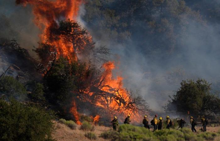 Une vaste zone de végétation à Los Angeles est détruite par un incendie