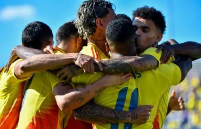 En vidéo les deux coups de pied de Luis Díaz qui ont provoqué une bagarre et des expulsions lors du match Colombie contre Bolivie | Sélection colombienne