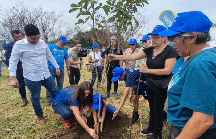 La plantation de 2 000 arbres donnera un nouveau poumon à San José