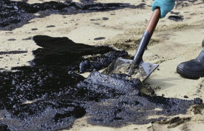 Singapour nettoie une marée noire causée par une drague heurtant un pétrolier