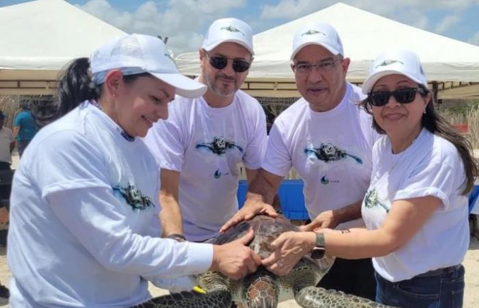 Une multinationale commémore la Journée mondiale de la tortue marine
