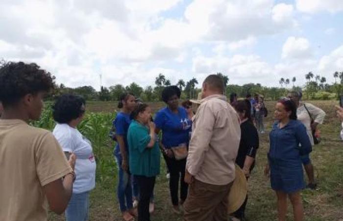 Article : La FMC de Matanzas avec des femmes propriétaires en usufruit