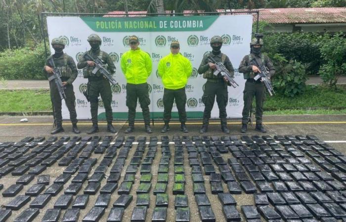 La police colombienne a saisi 500 kilos de cocaïne pure au « trafiquant de drogue invisible », partenaire du « clan du Golfe »
