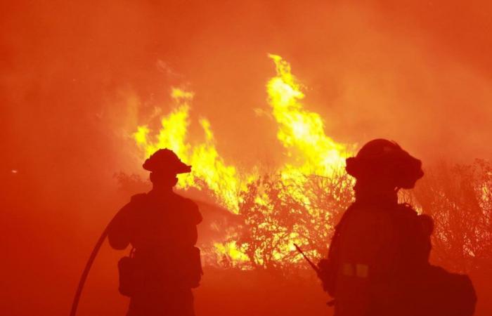 Un incendie de forêt dévaste des milliers d’hectares au nord de Los Angeles et provoque l’évacuation de 1 200 personnes