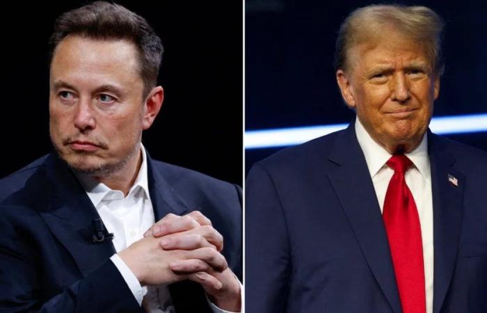 Elon Musk a révélé les détails de sa relation avec Donald Trump