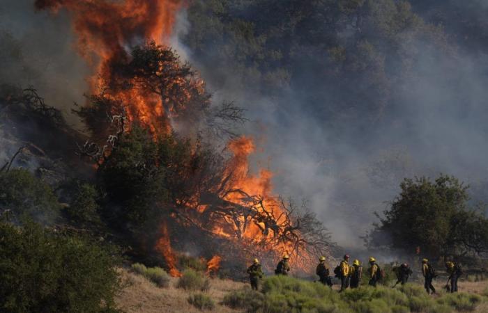 Un incendie de forêt brûlant au nord de Los Angeles se propage alors que des ordres d’évacuation sont émis