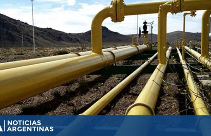 Enarsa a convenu avec la Bolivie de poursuivre la fourniture de gaz pour répondre à la demande dans le nord du pays