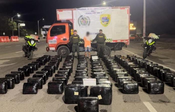 Une personne capturée et 528 kilos de marijuana saisis sur l’autoroute Neiva-Bogotá