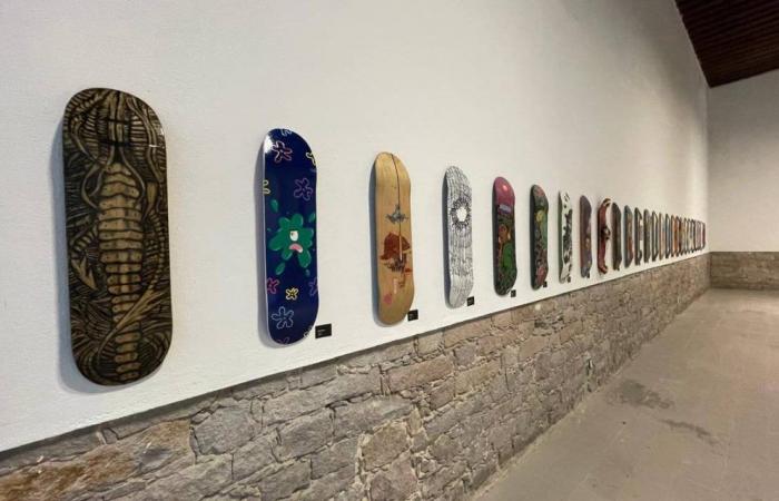 Derniers jours de la Skateboard-Art Gallery « Intervention » ; Quelles activités y aura-t-il ? – Le Soleil de San Luis