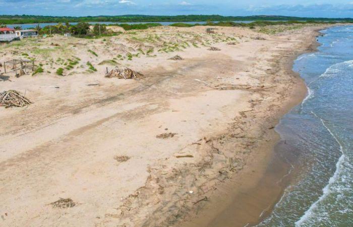 Plan global en cours pour Punta Astilleros, huitième meilleure plage du monde