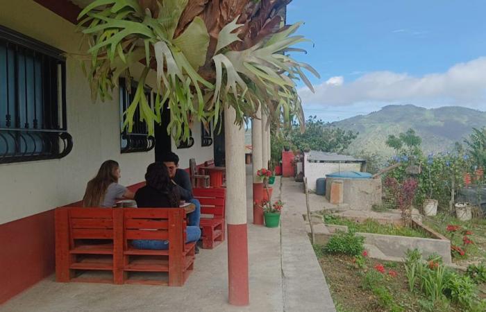 Norte de Santander : Innovation dans le café pour réactiver le tourisme