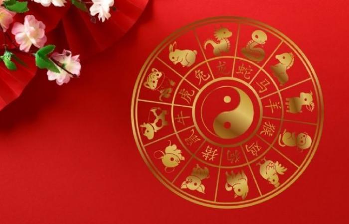 Horoscope chinois : 3 animaux qui réaliseront leurs rêves en agissant avec prudence entre le 16 et le 24 juin 2024