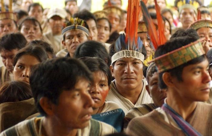 Les ministres se rendront en Amazonas pour présenter leurs excuses
