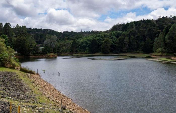 Les réservoirs EPM à Antioquia atteignent près de 38%