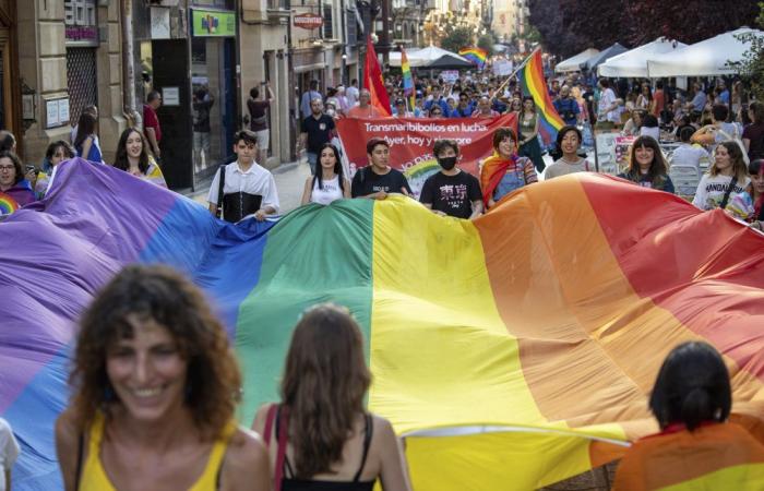 La marche de la Fierté LGTBI+ à La Rioja demande le respect