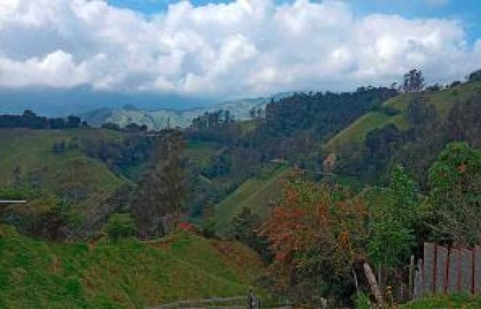 Caldas et Antioquia, unis par le tourisme, l’emploi et l’innovation dans leurs régions – ACTUALITÉS