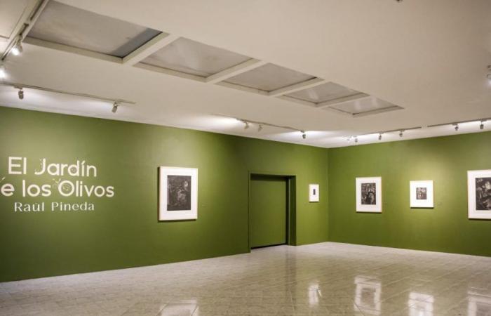 une exposition de Raúl Pineda qui transforme l’adversité en art et espoir au Tolima Art Museum