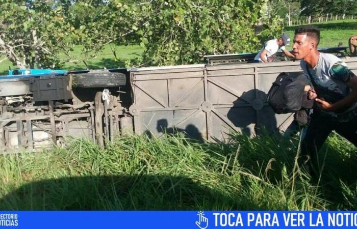 Un Yutong loué se renverse sur l’autoroute de Camagüey