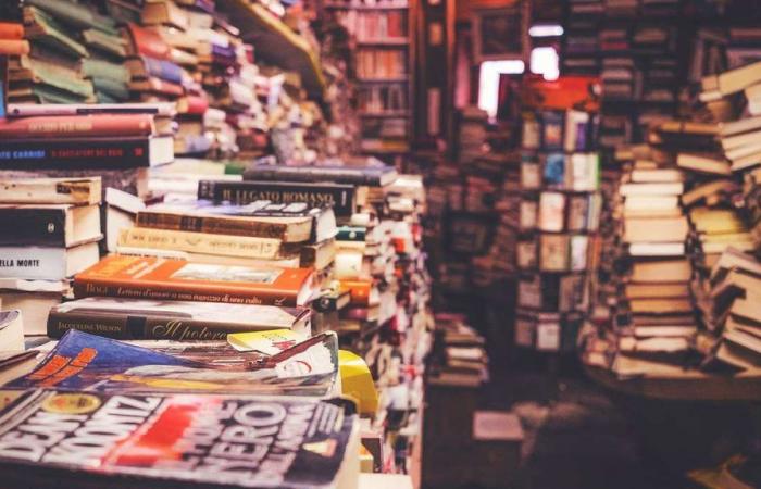 Paris entre livres : guide pour visiter les meilleures librairies de la ville