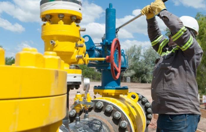 Plus de gaz de Vaca Muerta vers le pays : TGS investira 700 millions de dollars