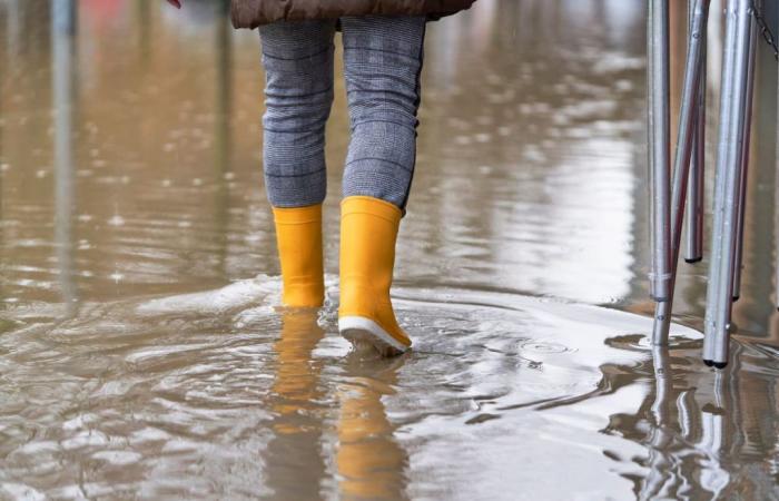 À Cordoue, les autorités définissent des actions contre la saison des pluies