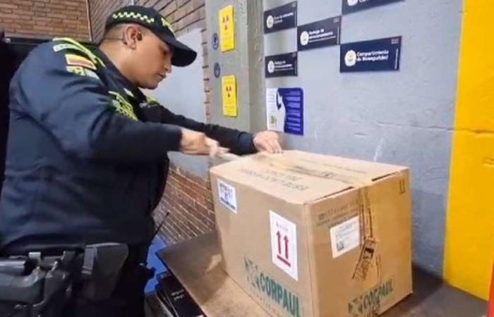 Ils découvrent 24 kilos de marijuana à El Dorado qui allaient vers l’Amazonie