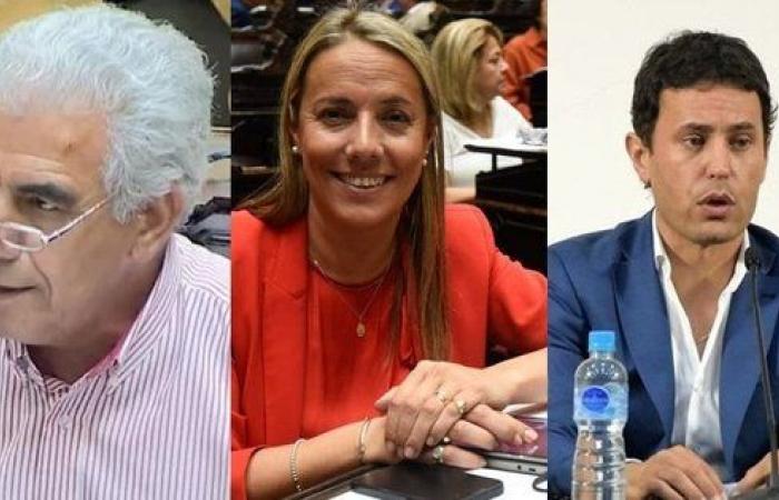 Comment Allende, Aubone et Chica voteraient le RIGI modifié aux députés
