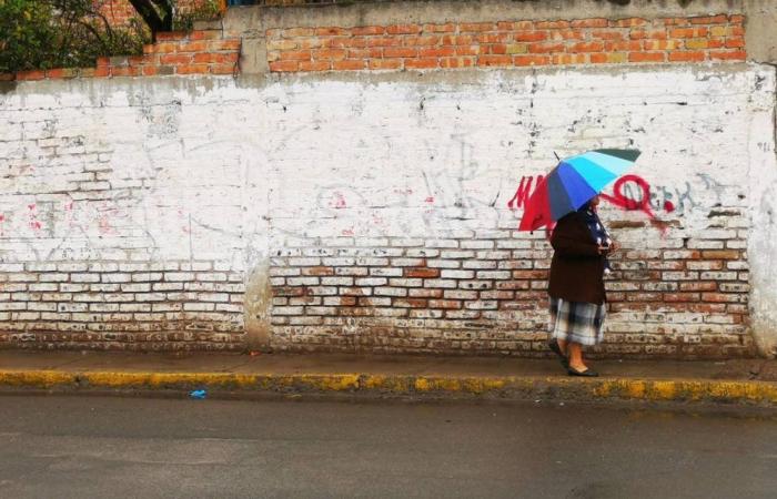Irapuato se lève avec une pluie légère – El Sol de Irapuato