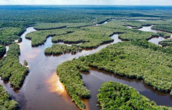 L’Amazonie propose de multiples activités avec le tourisme communautaire
