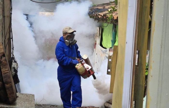 Augmentation des cas de dengue à Antioquia
