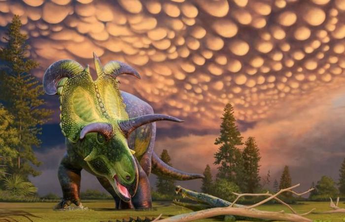 Une nouvelle espèce de dinosaure herbivore aux cornes géantes découverte aux États-Unis