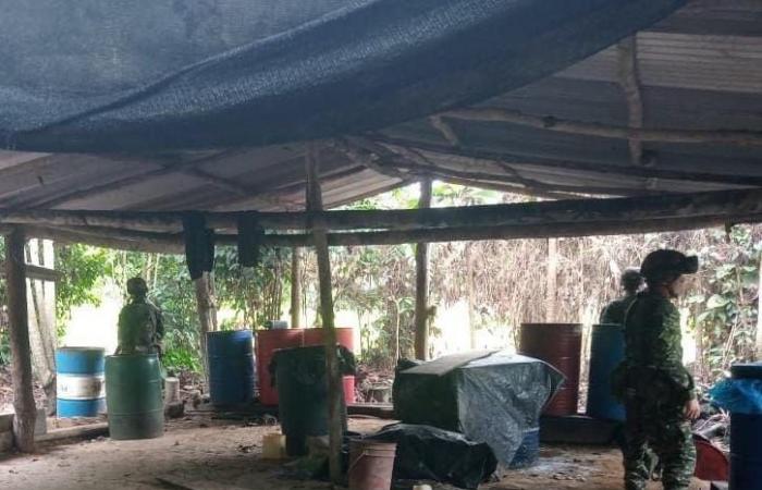 L’armée localise et détruit deux nouveaux laboratoires de coca à San José de Uré